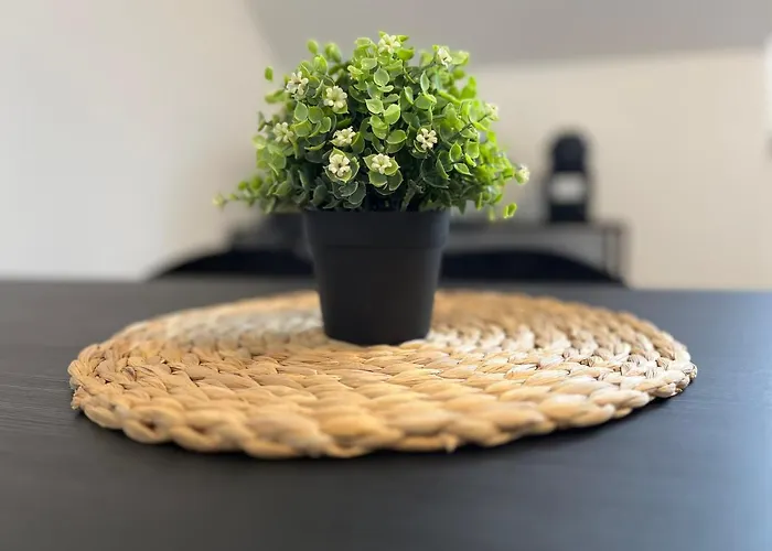 Appartment Miami , Naehe Duesseldorf ,Messe ,Hbf ,City, Wifi, Helios Hospital